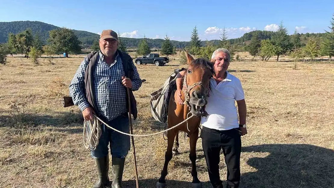 Yabani ağaçlarda yapılan aşılama meyve verimini artırdı