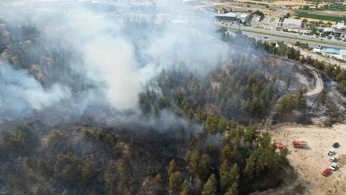 Yaklaşık 30 hektar alanın zarar gördüğü 2 ayrı yangınla ilgili olarak 3 şüpheli gözaltına alındı