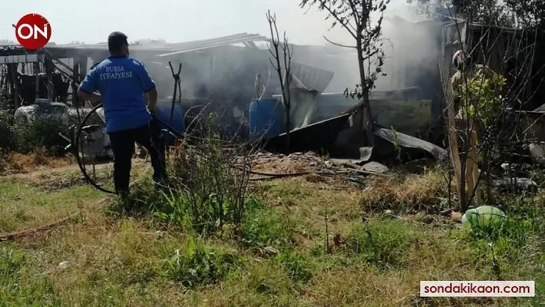 Yangın hayvanları telef etti