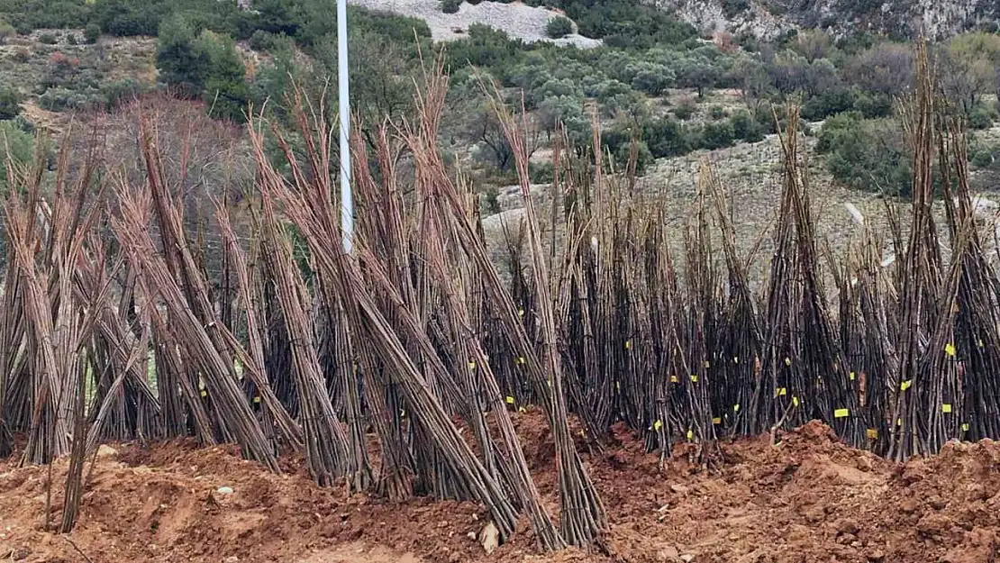 Yangında kovanları yanan arıcılara Büyükşehir'den malzeme desteği