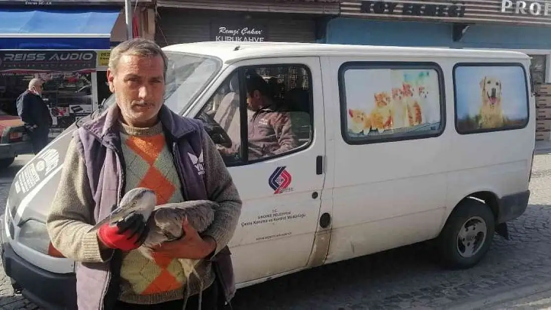 Yaralı kuşa belediye ekipleri sahip çıktı