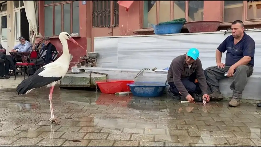 Yaren'in rakibi Bilal Leylek baba oldu