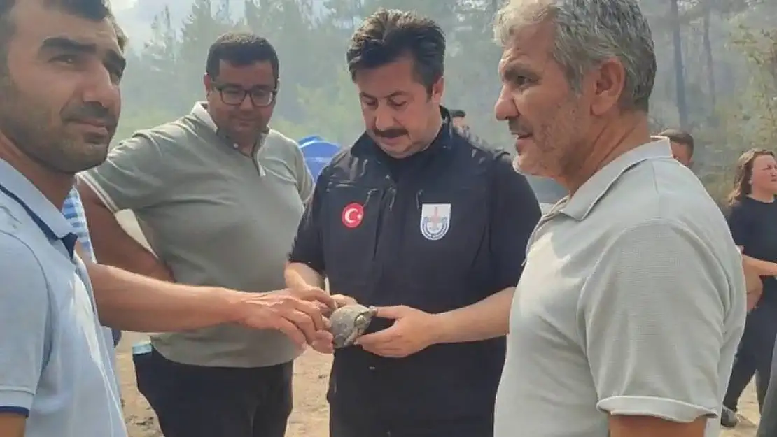 Yenişehir Belediye Başkanı Özel, yangından etkilenen kaplumbağaya suyla müdahale etti