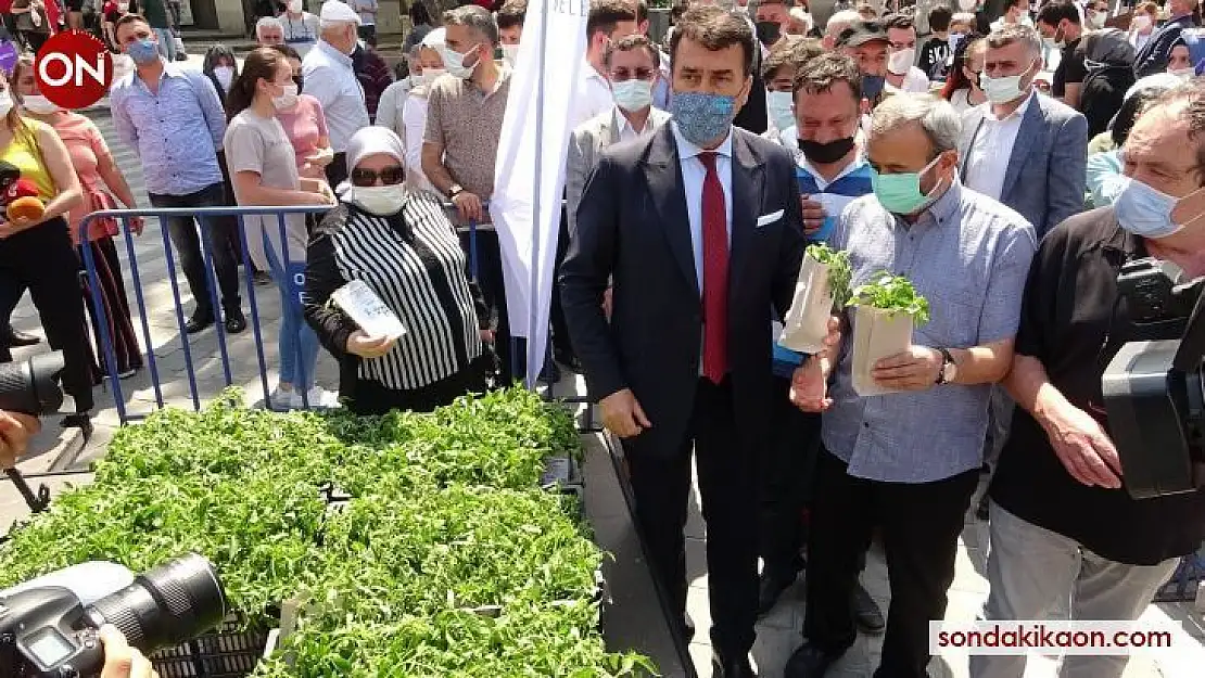 Yerli tohum fideleri toprakla buluşuyor