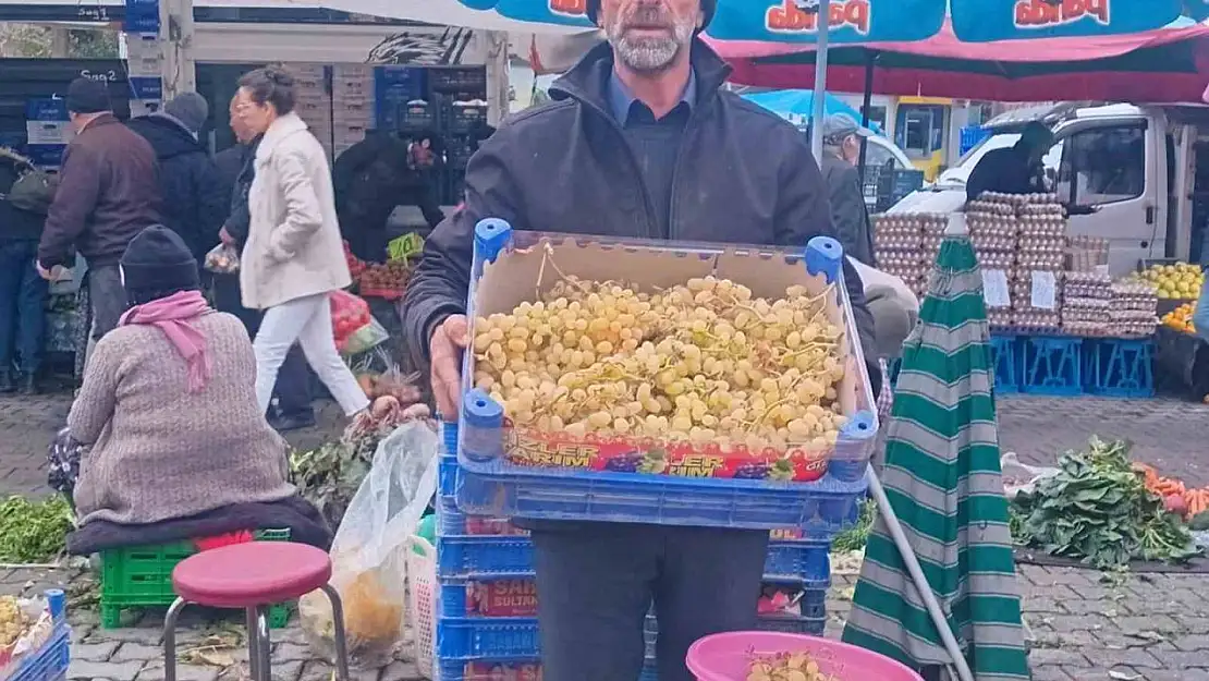 Yılbaşı sofralarının taze üzümü Sarıgöl'den