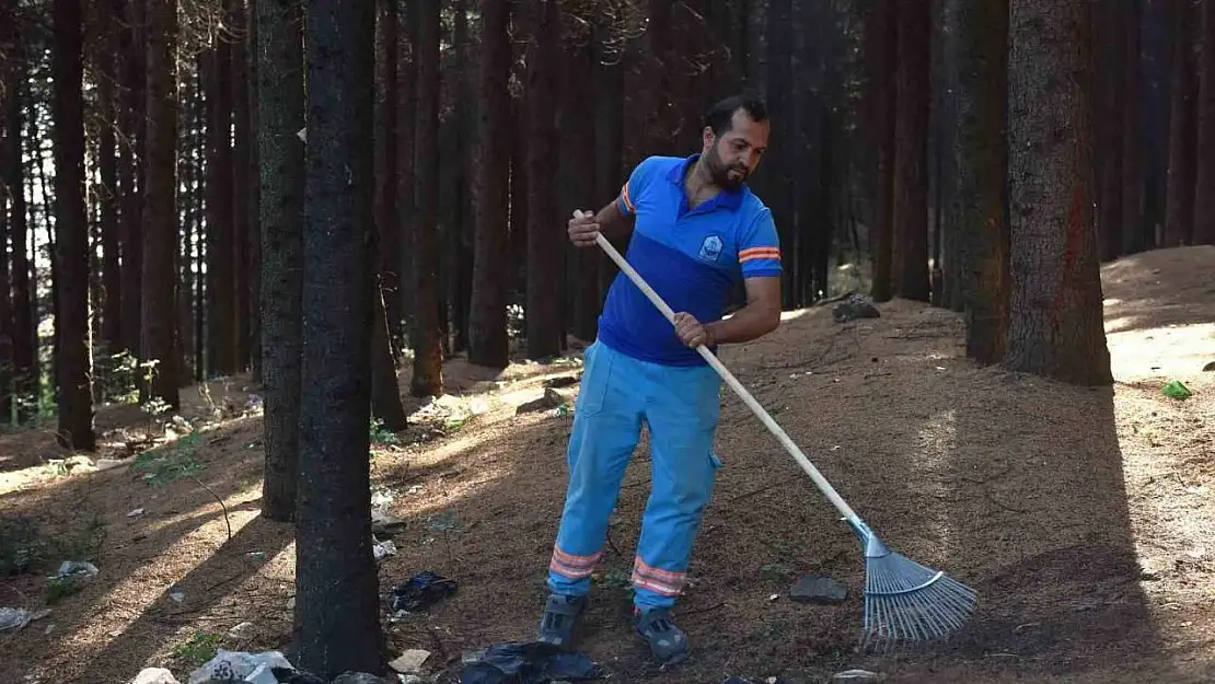 Yıldırım'da orman temizliği