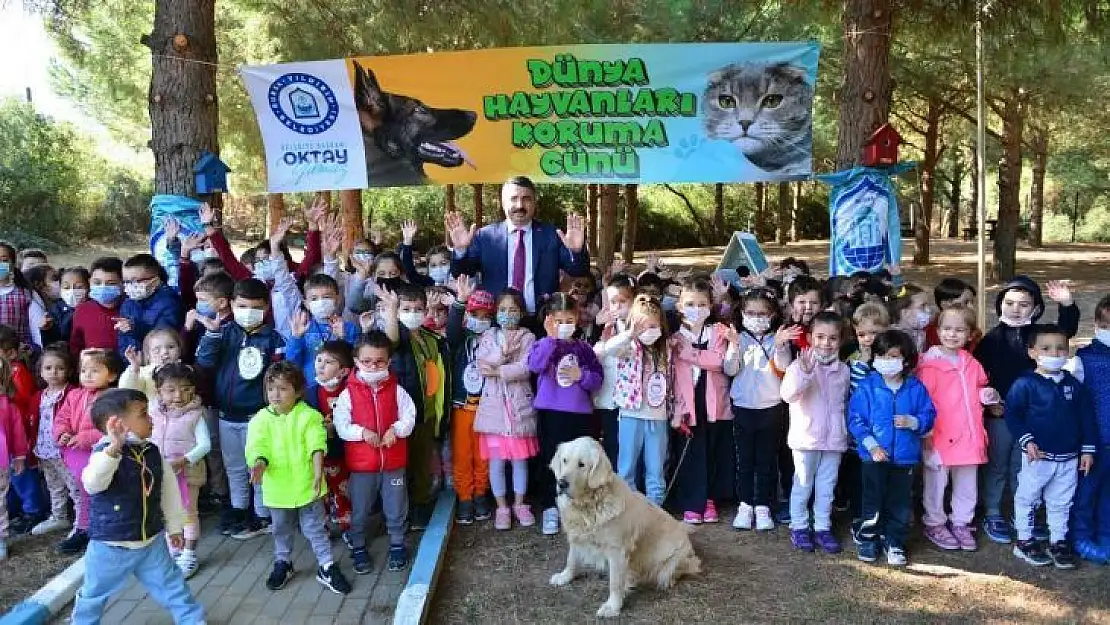 Yıldırım'da sokak hayvanları emin ellerde