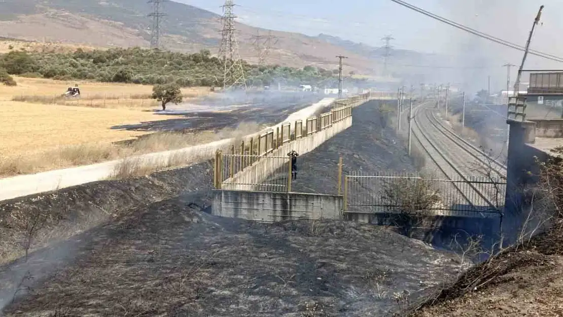 Yol kenarına atılan sigara izmariti yangına sebep oldu