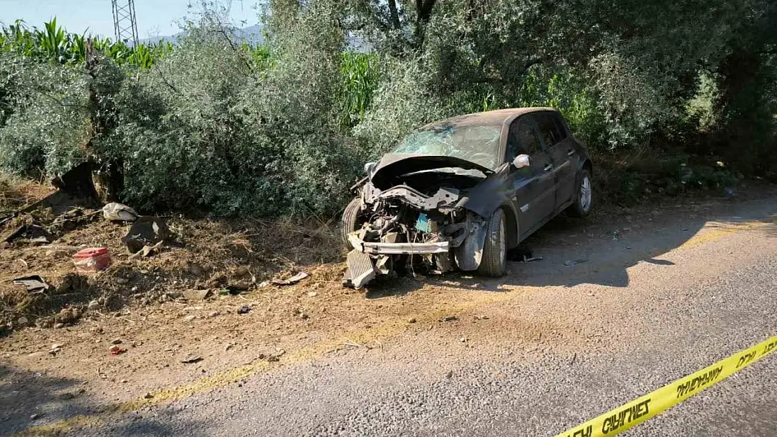 Yol kenarındaki ağaca çarpan otomobilin sürücüsü hayatını kaybetti