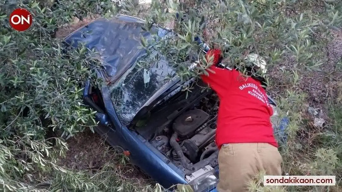 Yoldan çıkan otomobil zeytin bahçesine girdi