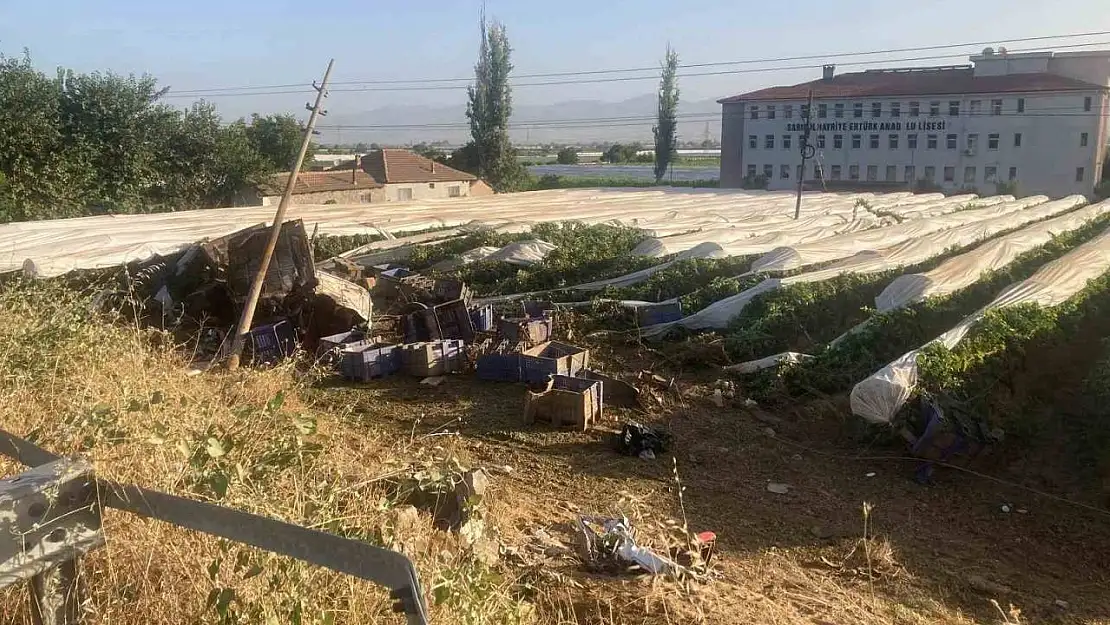 Yoldan çıkıp üzüm bağına uçan tırın şoförü hayatını kaybetti