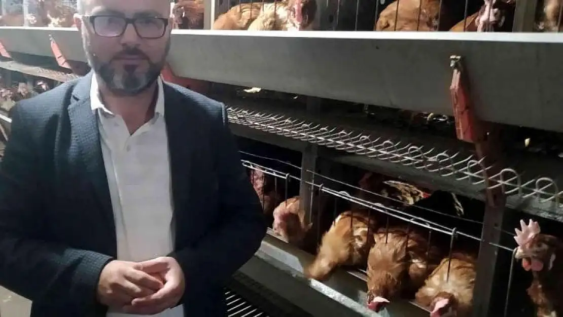 Yumurta üreticileri tedbir alınmazsa batacak