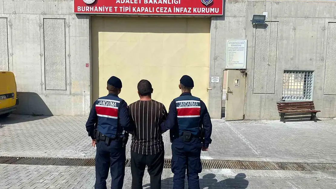 Zeytin çalarken jandarmaya yakalanan hırsız tutuklandı