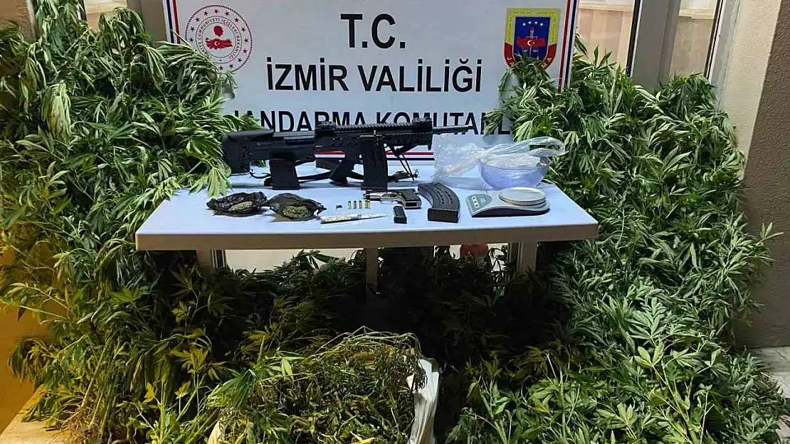 Zeytinlik alanını uyuşturucu tarlasına çeviren zanlı yakalandı