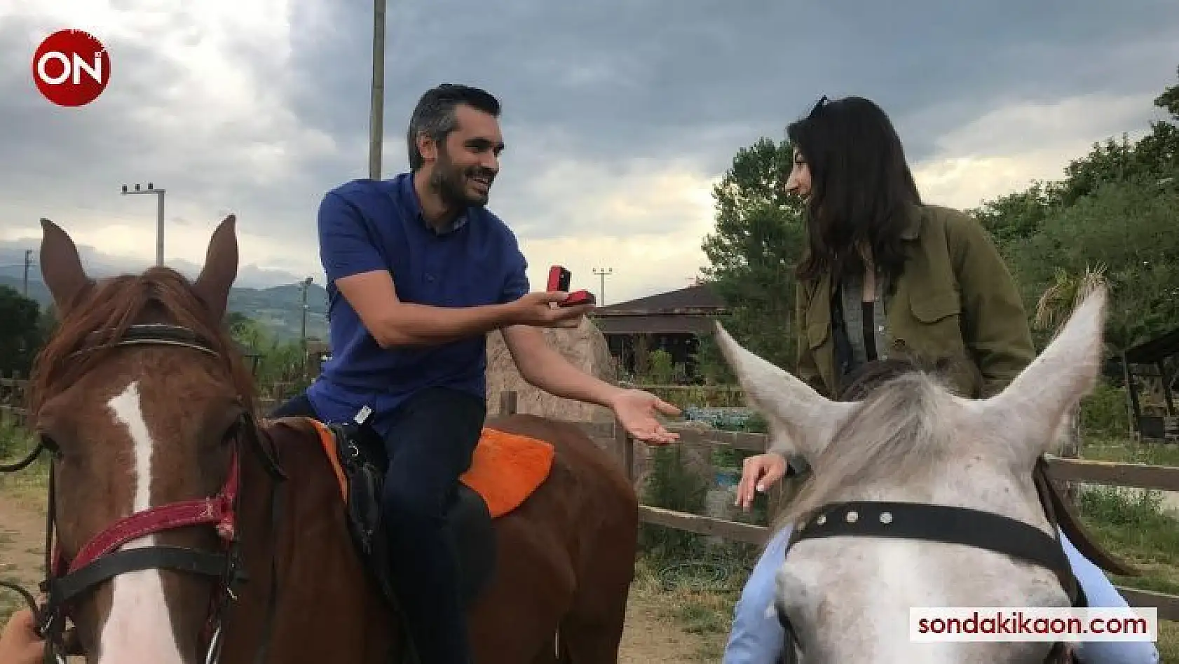 At üzerinde evlilik teklifi
