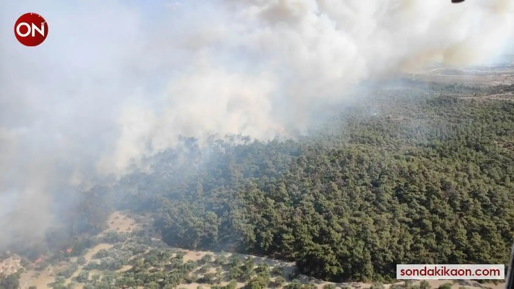 Foça'daki yangına müdahale devam ediyor