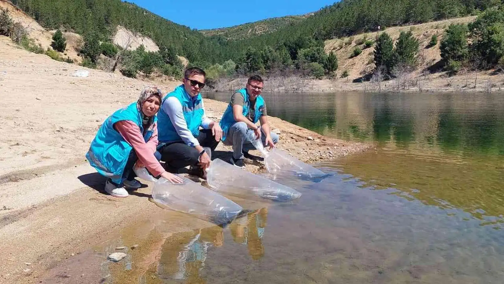 Hisarcık'ta baraj ve göletlere 40 bin yavru sazan balığı bırakıldı