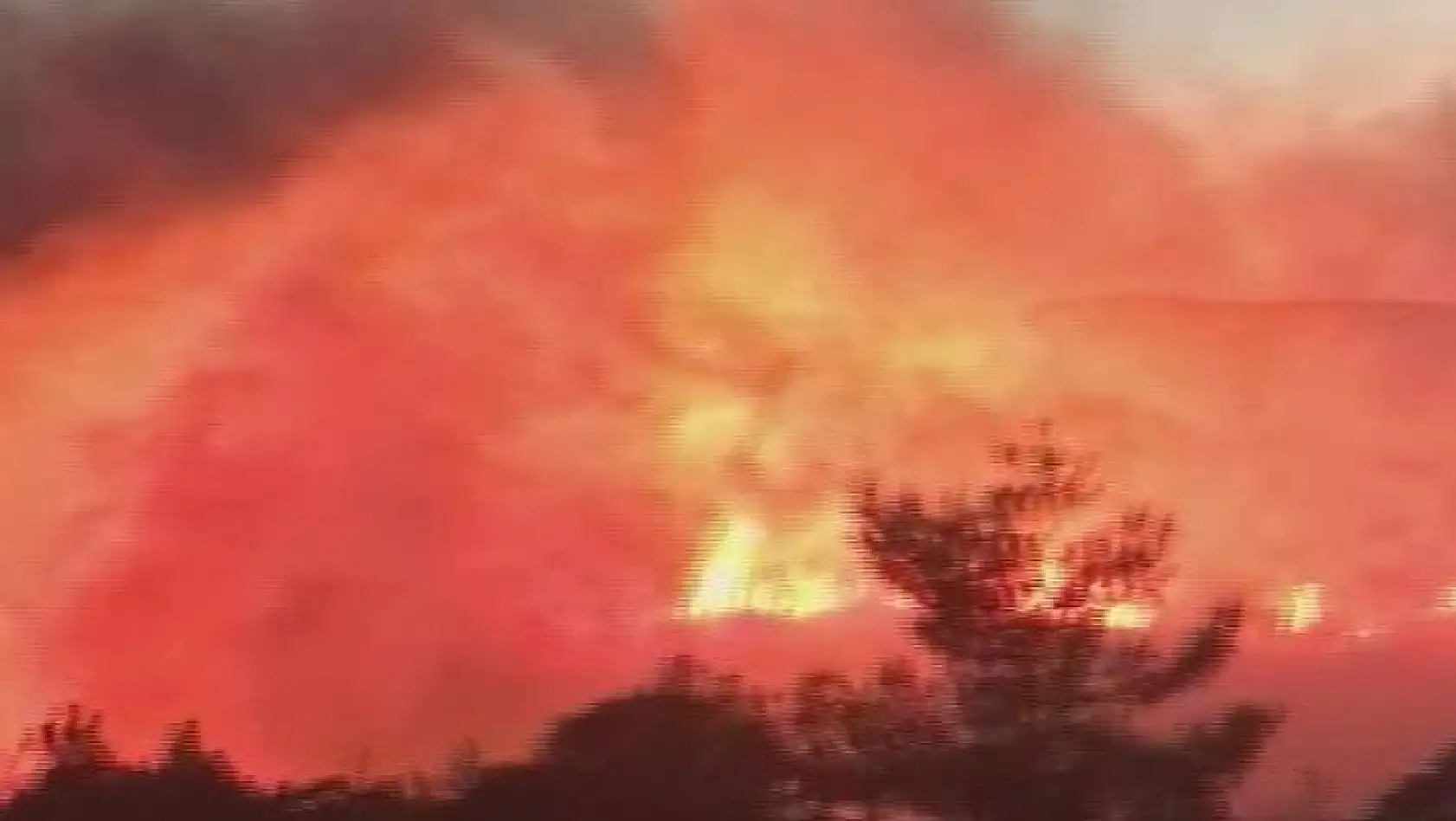 İzmir'de orman yangını: çok sayıda ekip müdahale ediyor