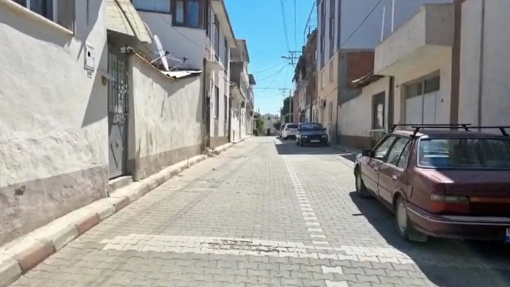 Kadıköy'de bir sokağı pire ve keneler sardı