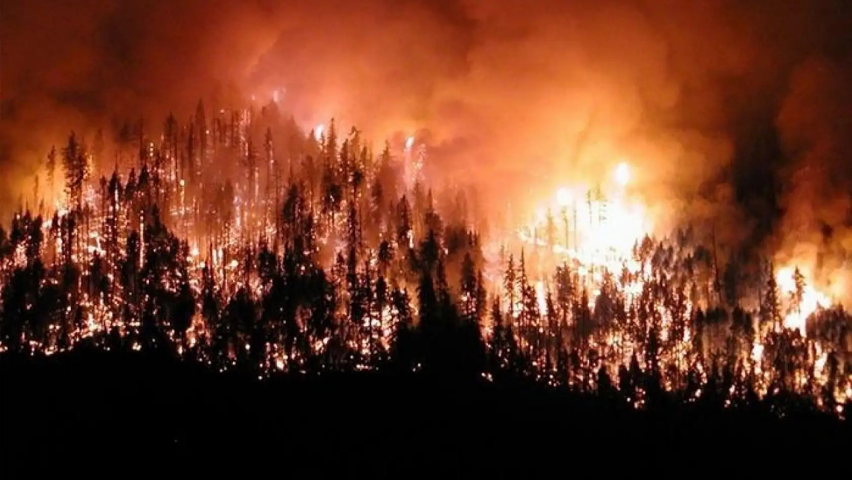 Orman yangınlarına karşı caydırıcı devriye