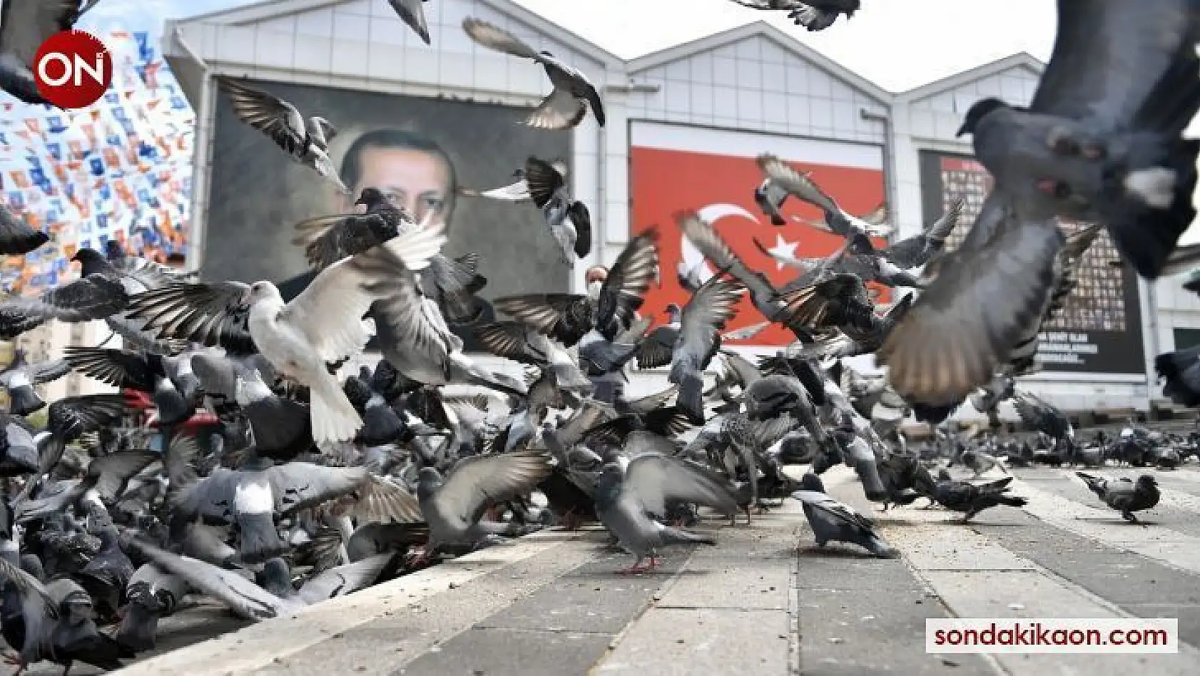 Osmangazi'de aç kalan güvercinler beslendi