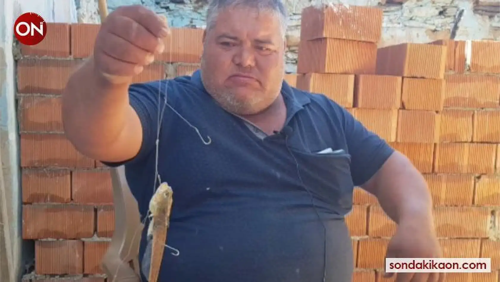 Zehirli trakonya balığı İzmirli amatör balıkçıyı hastanelik etti