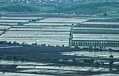 2025 sezonunda çeltik ekimine sınırlama uygulanacak