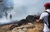 Ayvalık'ta orman yangını