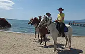 Balıkesir'de atlar plaja indi
