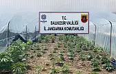 Balıkesir'de jandarmadan organize suçlara karşı geniş çaplı operasyon