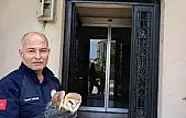 Burhaniye'de yaralı baykuş, milli parklar şefliğine teslim edildi