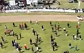 Jokeyi üzerinden attı, yarışa devam etti