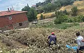 Sındırgı'da koyun damı çöktü, 2 koyun telef oldu