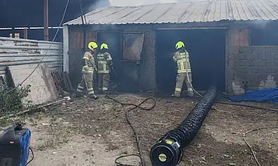 Balıkesir'de ahırda çıkan yangında 42 küçükbaş hayvan telef oldu