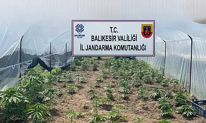 Balıkesir'de jandarmadan organize suçlara karşı geniş çaplı operasyon