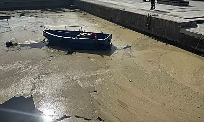 Bandırma ve Gönen sahillerinde müsilaj yüzeye çıktı