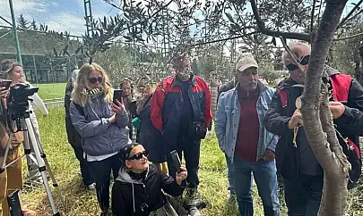 Edremit MYO'da zeytin aşılama eğitimi