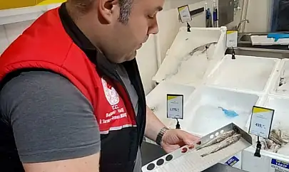 Edremit'te su ürünleri denetimleri aralıksız sürüyor