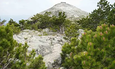 Kazdağları'nın zirvesi Sarıkız doğa severlerin ilgisini çekiyor