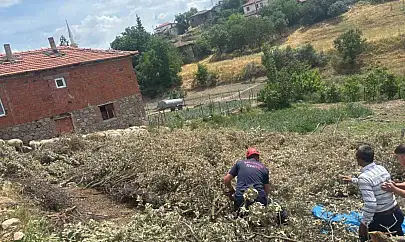 Sındırgı'da koyun damı çöktü, 2 koyun telef oldu