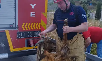 Su kanalına düşen keçi itfaiye ekiplerince kurtarıldı