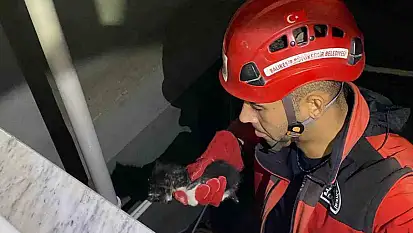 Apartman boşluğuna düşen yavru kedi itfaiye ekiplerince kurtarıldı