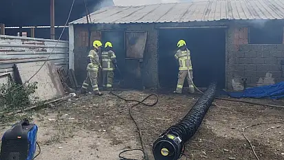 Balıkesir'de ahırda çıkan yangında 42 küçükbaş hayvan telef oldu