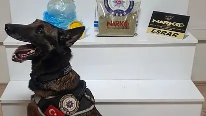 Balıkesir'de uyuşturucu operasyonu