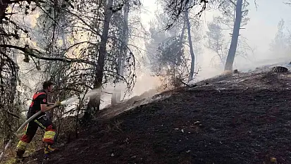 Dursunbey'de orman yangını