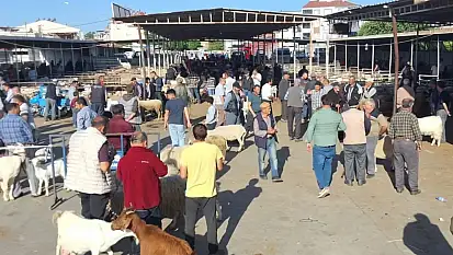 Havran'da Kurban Bayramı öncesi hayvan pazarı denetlendi