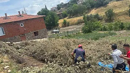 Sındırgı'da koyun damı çöktü, 2 koyun telef oldu