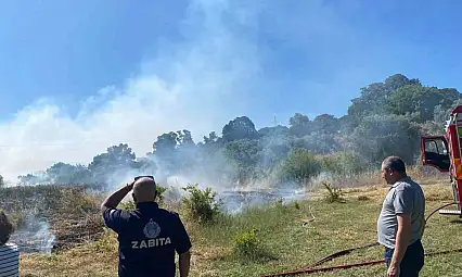 Bodrum'da zirai alan yangını