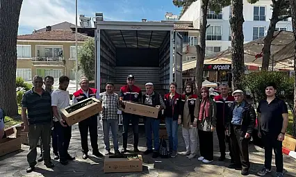 Bozdoğan'da 60 bin turşuluk biber fidesi dağıtıldı