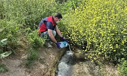 Çanakkale'de çeltik ekim alanlarında sivrisinek mücadelesi başladı